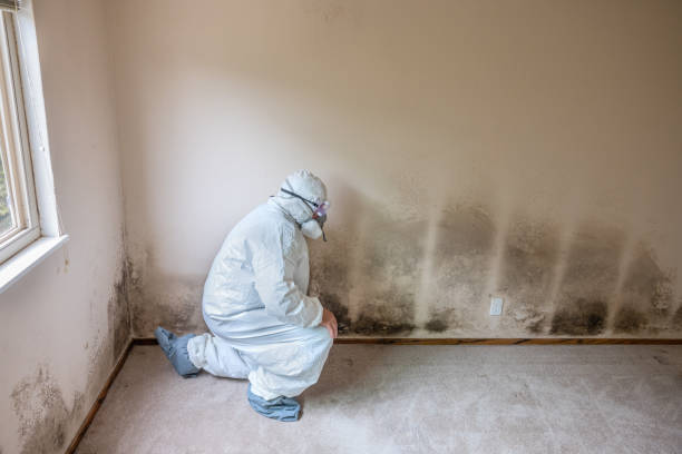 Certified Mold Removal in High Point, NC